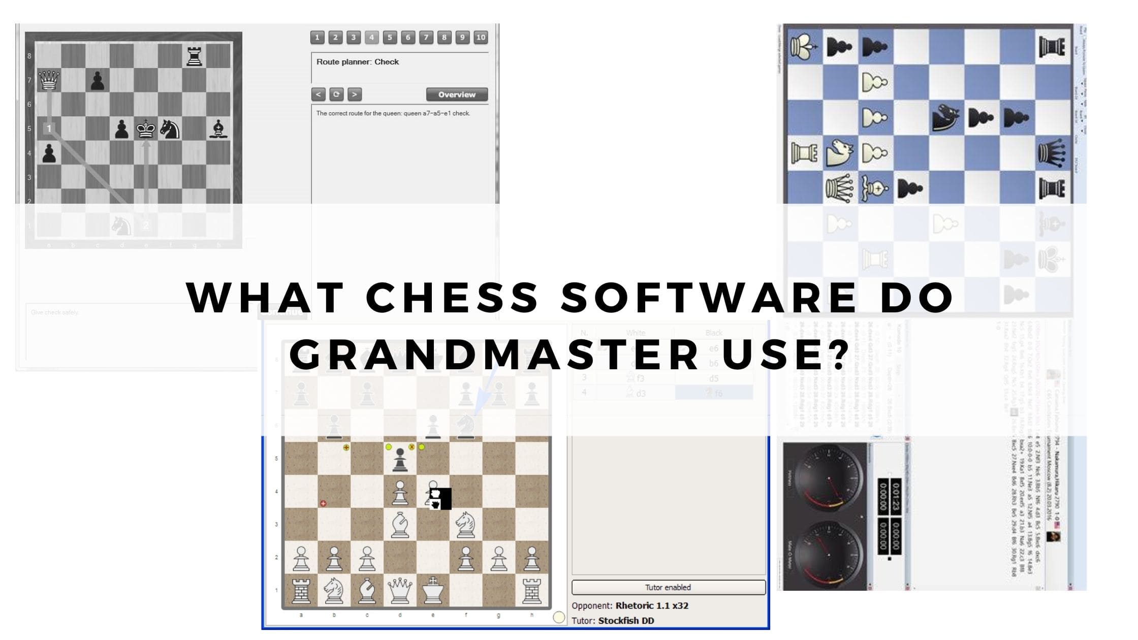 What Chess Software do Grandmaster Use?
